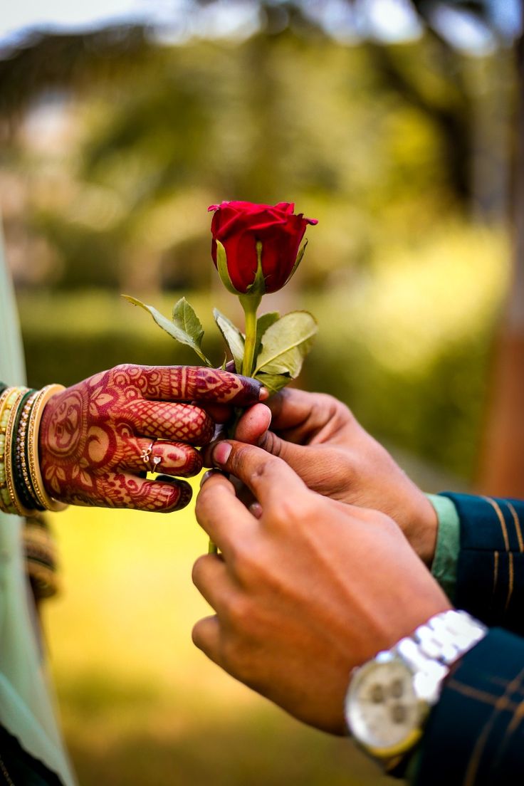 Rose Proposal